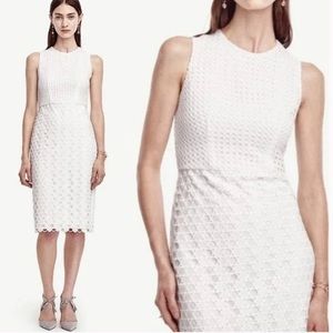 Ann Taylor Geo Lace Eyelet Sheath Dress NWT